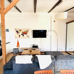 Loft Moin Near Ndr Uke Zoo